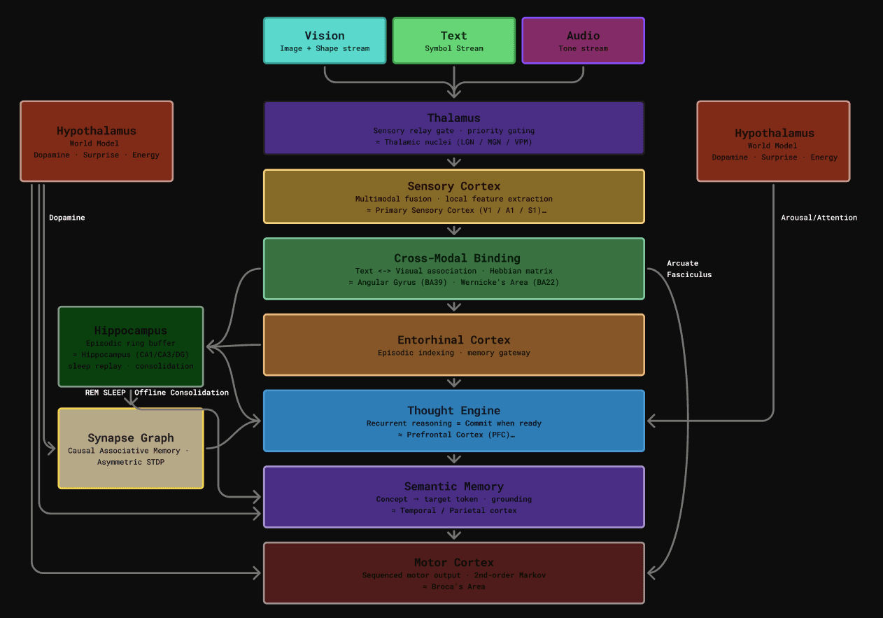 Neurothena cognitive architecture diagram showing Thalamus, Sensory Cortex, Cross-Modal Binding, Entorhinal Cortex, Thought Engine, Semantic Memory, Motor Cortex, and modulatory components